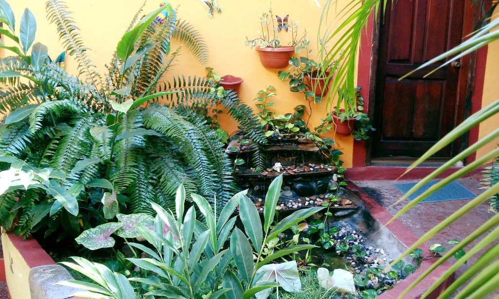 Hotel La Cabana Puerto Ángel エクステリア 写真