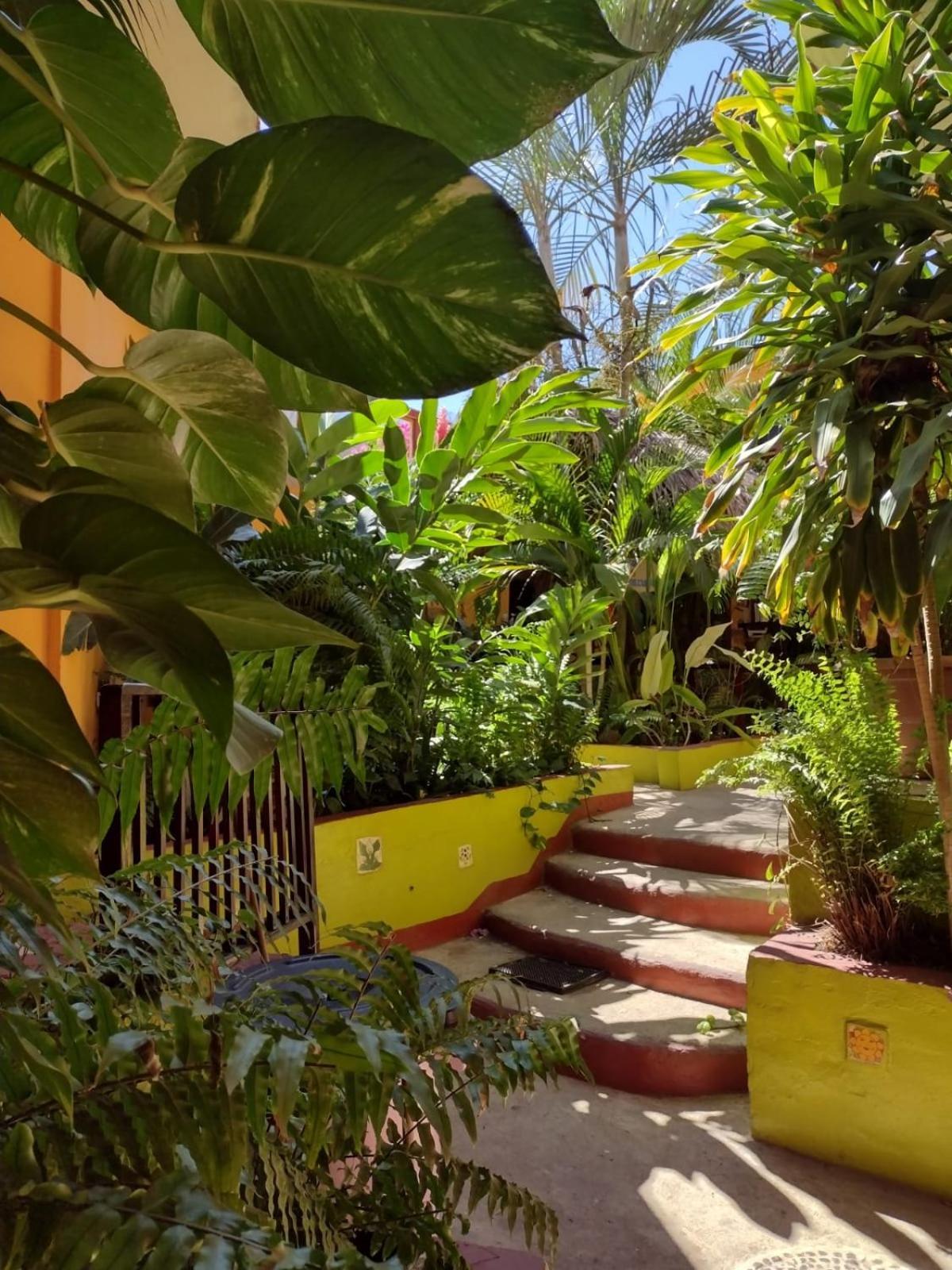 Hotel La Cabana Puerto Ángel エクステリア 写真