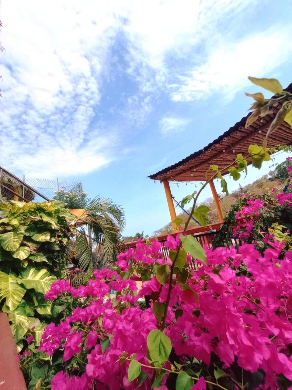 Hotel La Cabana Puerto Ángel エクステリア 写真