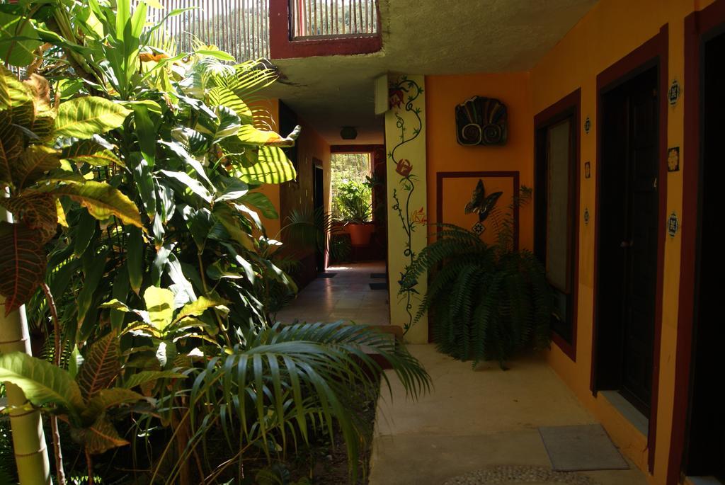 Hotel La Cabana Puerto Ángel エクステリア 写真